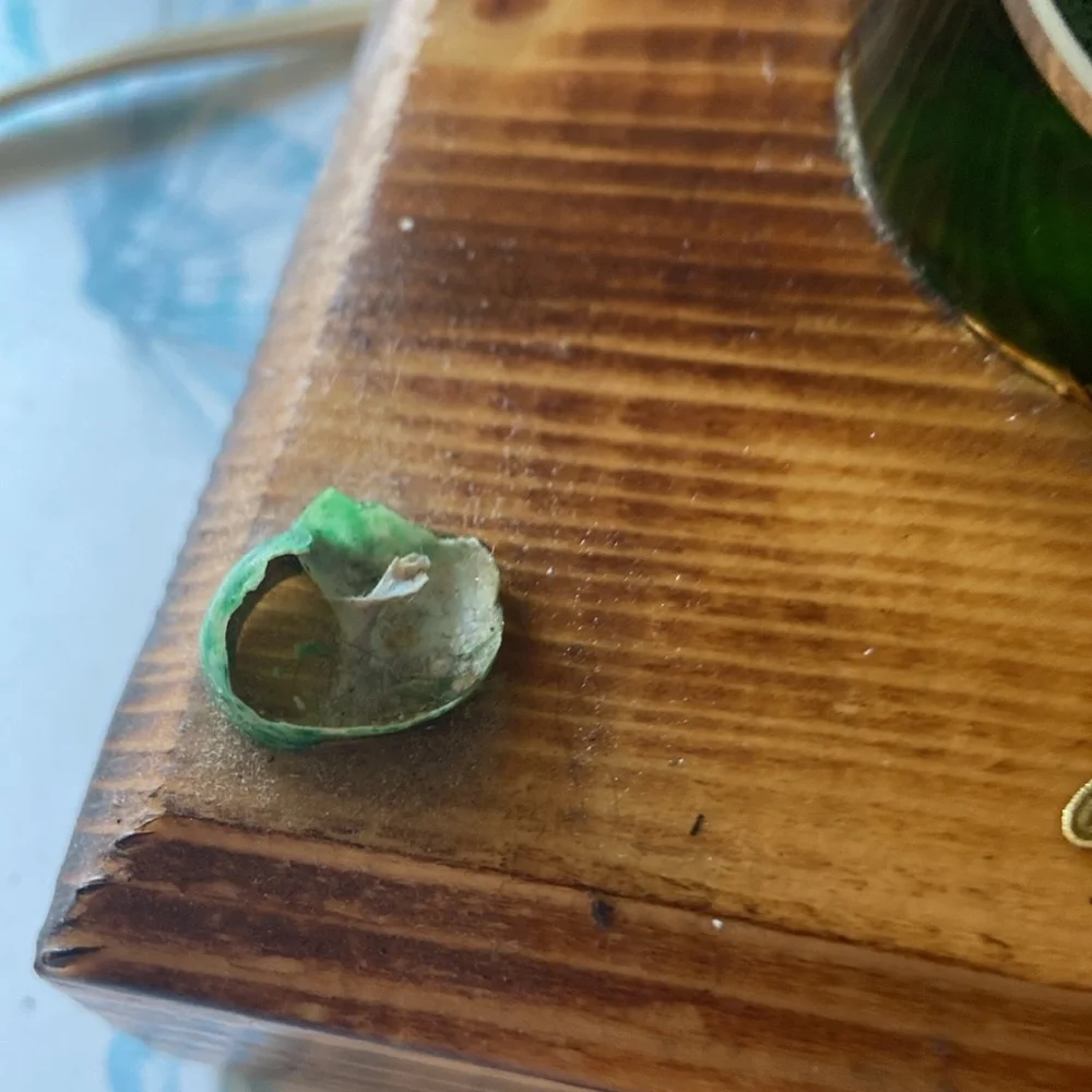 ❤️ Heineken lamp